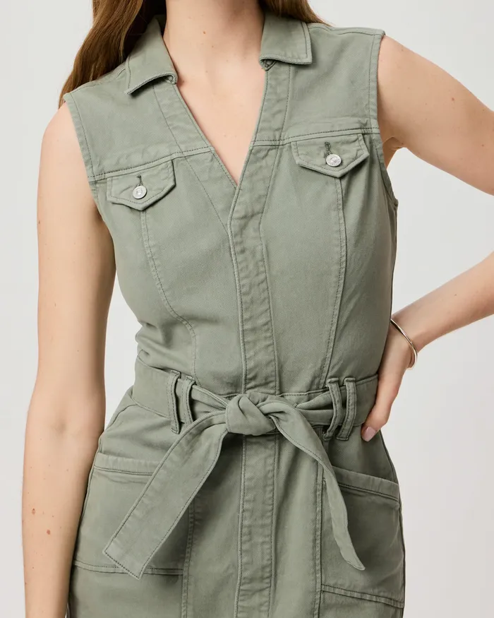 Dresses Kelsee Dress 8211 Vintage Sweet Succulent 8211 PAIGE Women