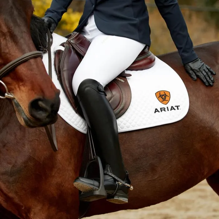 English Riding Boots Women Ariat Nitro Max Tall Riding Boot Black