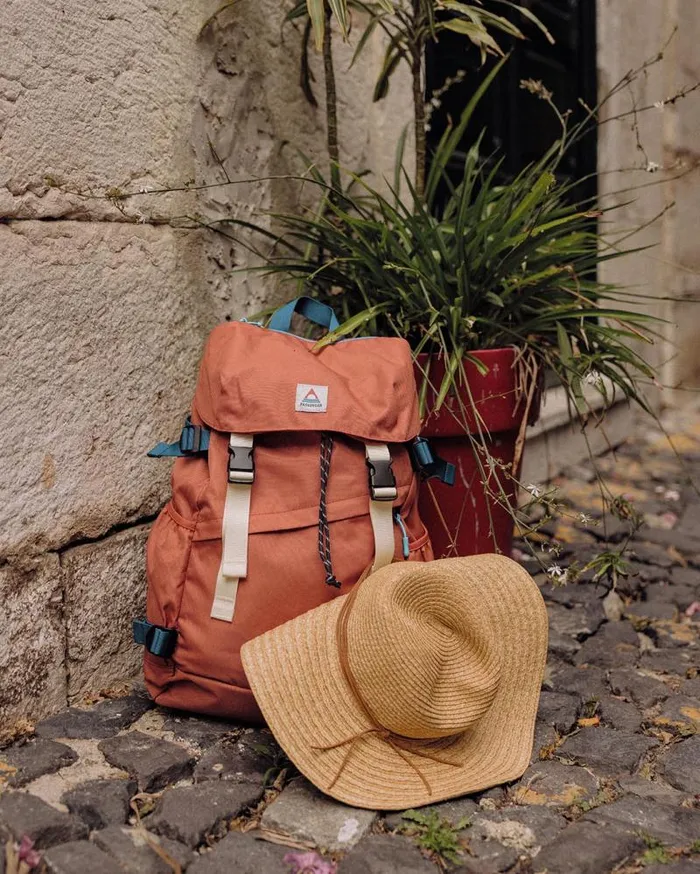 Passenger Backpacks and Bags Boondocker Recycled 26L Backpack Bruschetta Bruschetta 8211 WomenMen