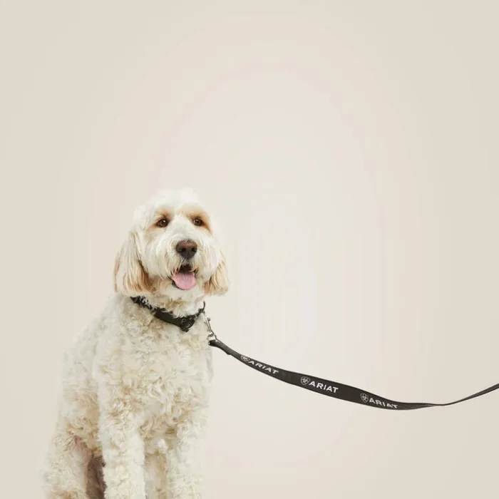 Pet Accessories MenWomen Ariat Dog Leash Blackrebar Gray Pet Accessories MenWomen Ariat Dog Leash Blackrebar Gray