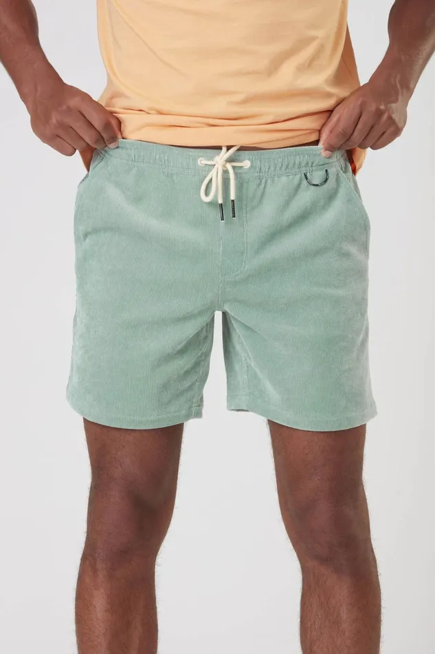 Picture Organic Clothing Dalvik Shorts Men Shorts
