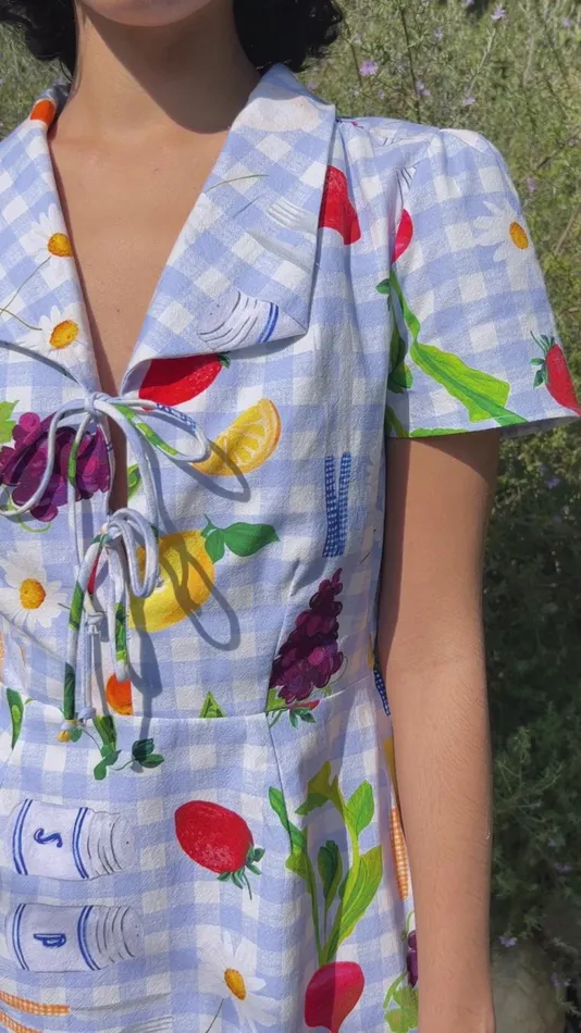 Women Alexa Shirtdress Picnic Alfresco Lisa Says Gah Dresses Women Alexa Shirtdress Picnic Alfresco Lisa Says Gah Dresses