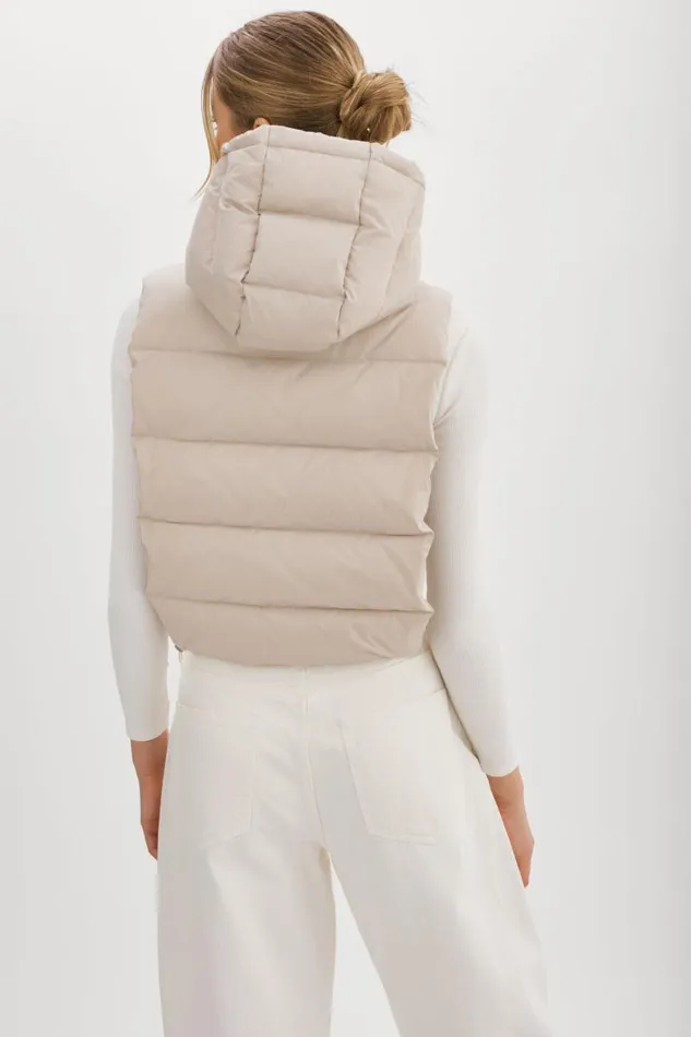 Women DELMA Quilted Nylon Dickey Oat LAMARQUE Puffers Women DELMA Quilted Nylon Dickey Oat LAMARQUE Puffers