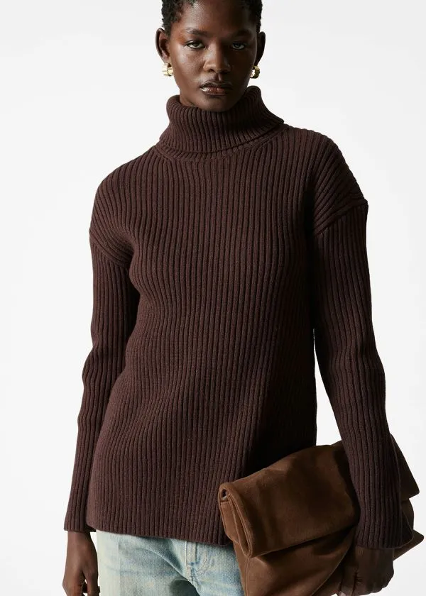 Women Knitwear and Other Stories Turtleneck WoolKnit Jumper Brown