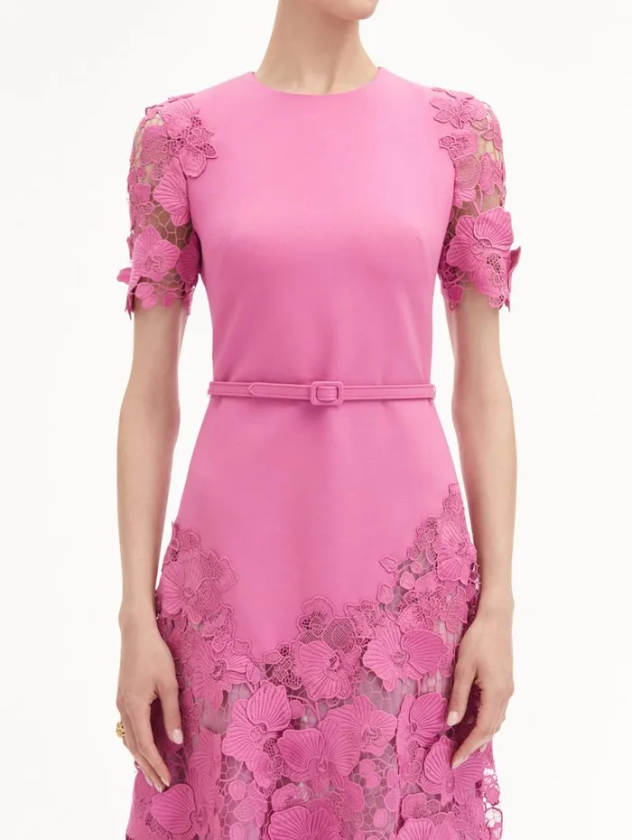 Women Oscar De La Renta Dresses Orchid Guipure Lace Inset Dress Rosehip Women Oscar De La Renta Dresses Orchid Guipure Lace Inset Dress Rosehip